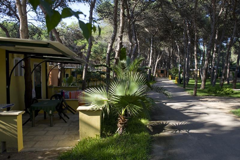 Camping La Vecchia Torre Otel Gallipoli Dış mekan fotoğraf